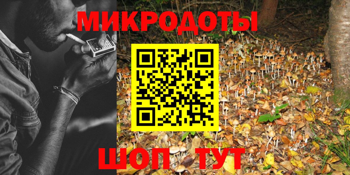 Галлюциногенные грибы Psilocybine cubensis Кимры